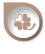 갤러리